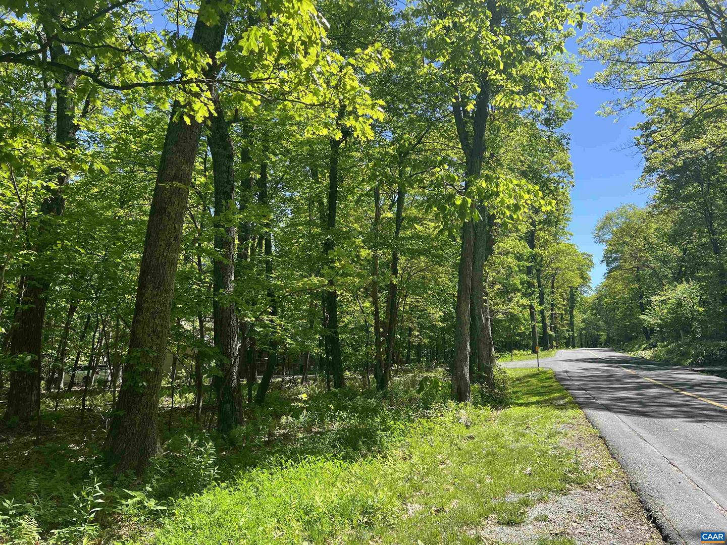 17 KESTREL PT, WINTERGREEN RESORT, Virginia 22967, ,Land,For sale,17 KESTREL PT,664714 MLS # 664714