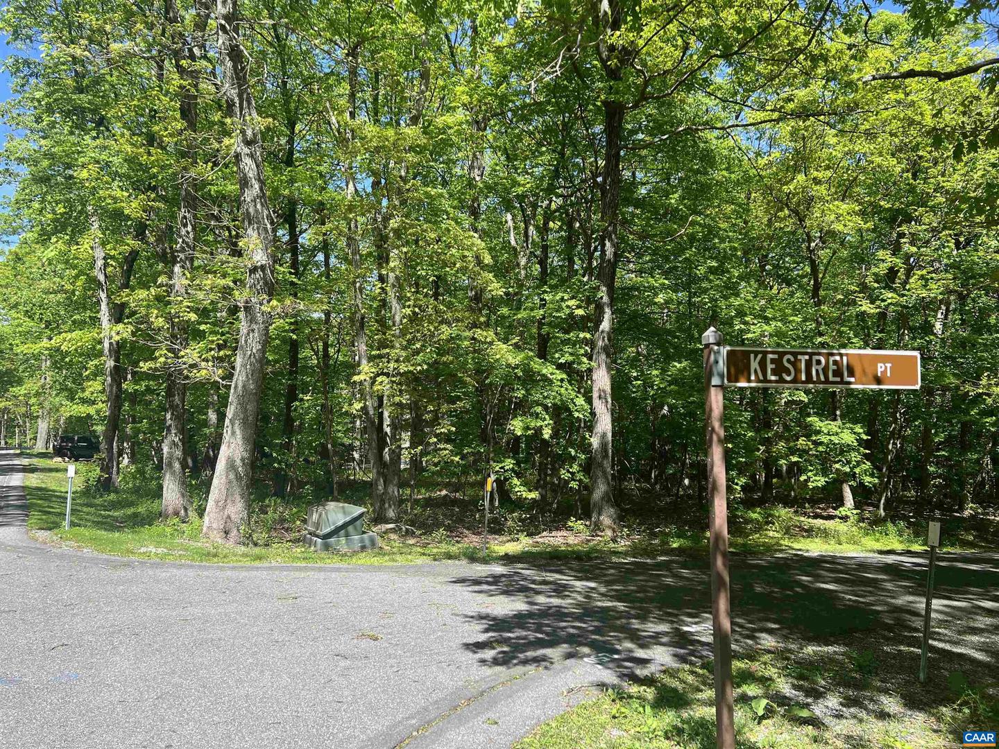 17 KESTREL PT, WINTERGREEN RESORT, Virginia 22967, ,Land,For sale,17 KESTREL PT,664714 MLS # 664714