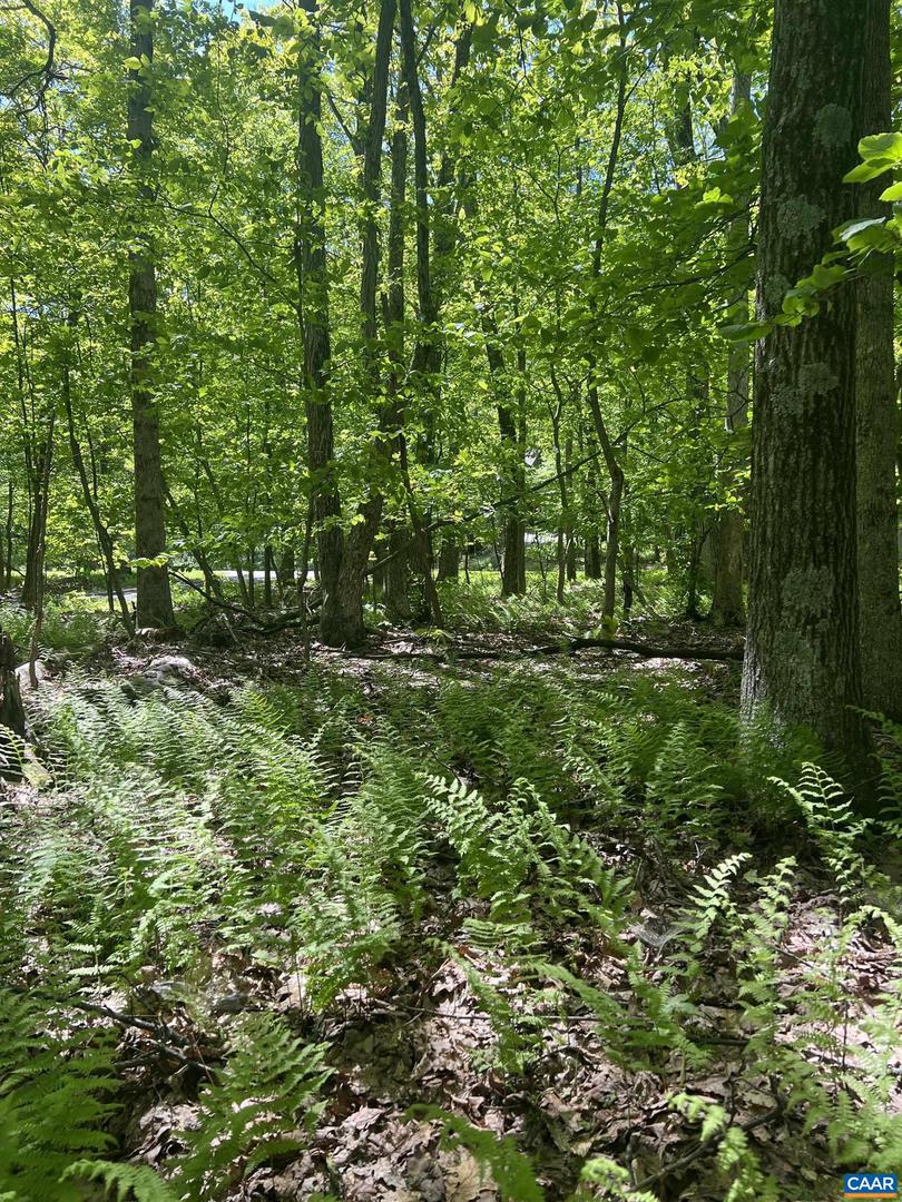 17 KESTREL PT, WINTERGREEN RESORT, Virginia 22967, ,Land,For sale,17 KESTREL PT,664714 MLS # 664714