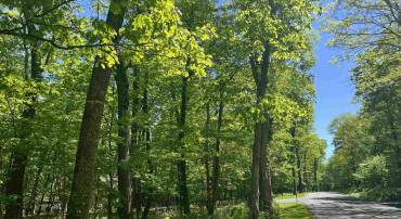 17 KESTREL PT, WINTERGREEN RESORT, Virginia 22967, ,Land,For sale,17 KESTREL PT,664714 MLS # 664714