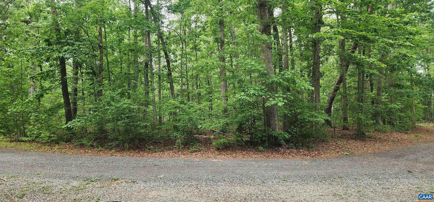 G2 ORCHID LAKE DR #2, GUM SPRING, Virginia 23065, ,Land,For sale,G2 ORCHID LAKE DR #2,664732 MLS # 664732