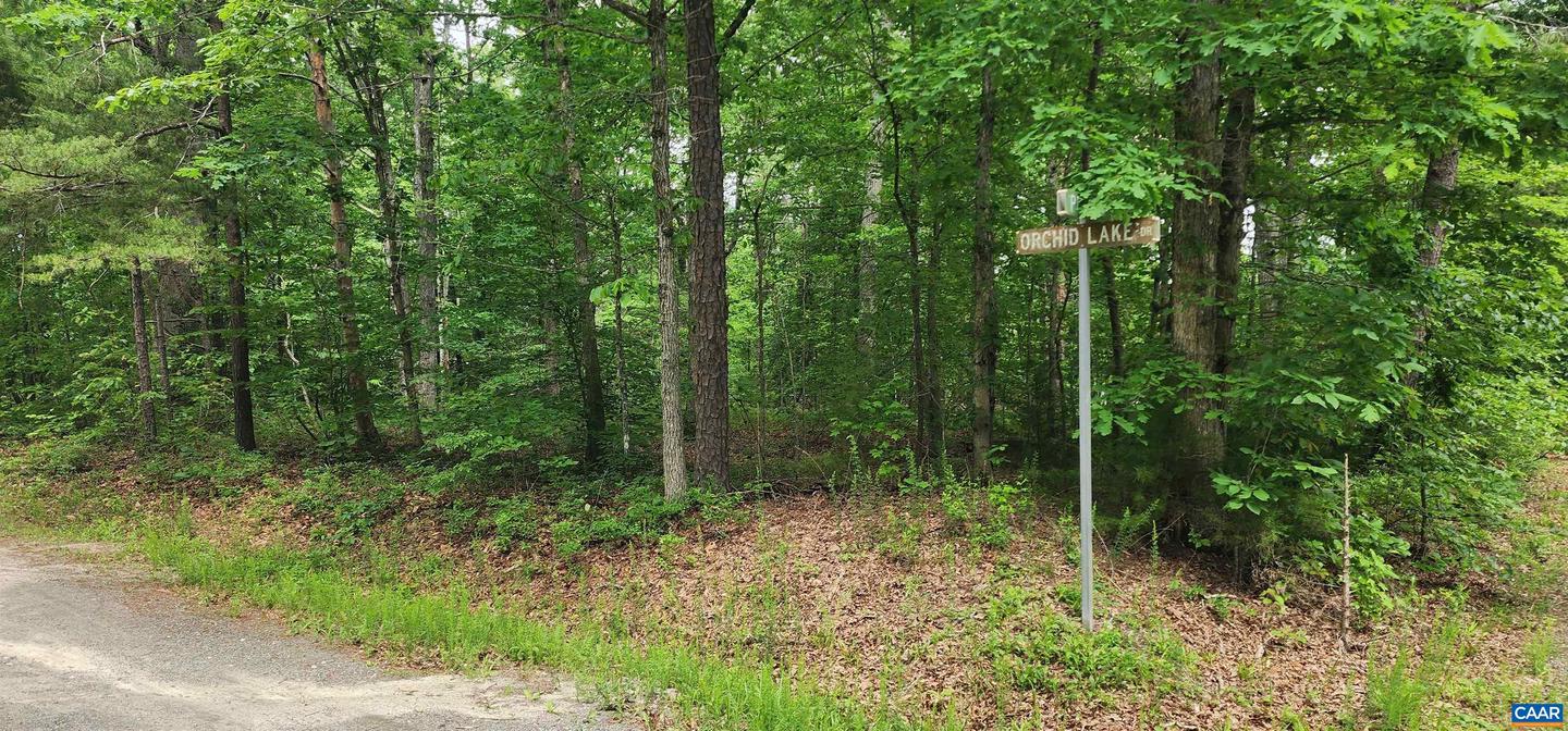 G2 ORCHID LAKE DR #2, GUM SPRING, Virginia 23065, ,Land,For sale,G2 ORCHID LAKE DR #2,664732 MLS # 664732