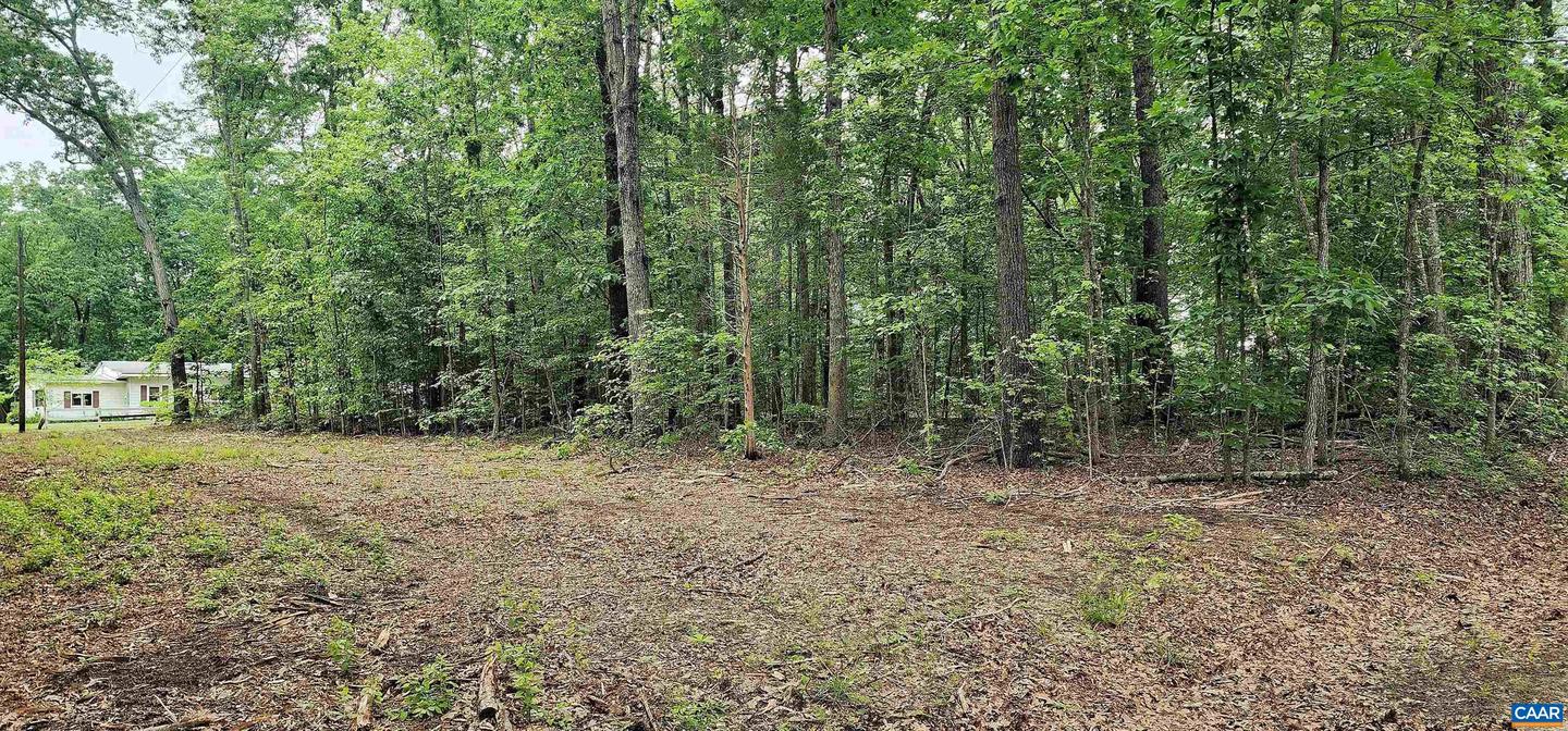 G3 ORCHID LAKE DR #3, GUM SPRING, Virginia 23065, ,Land,For sale,G3 ORCHID LAKE DR #3,664734 MLS # 664734