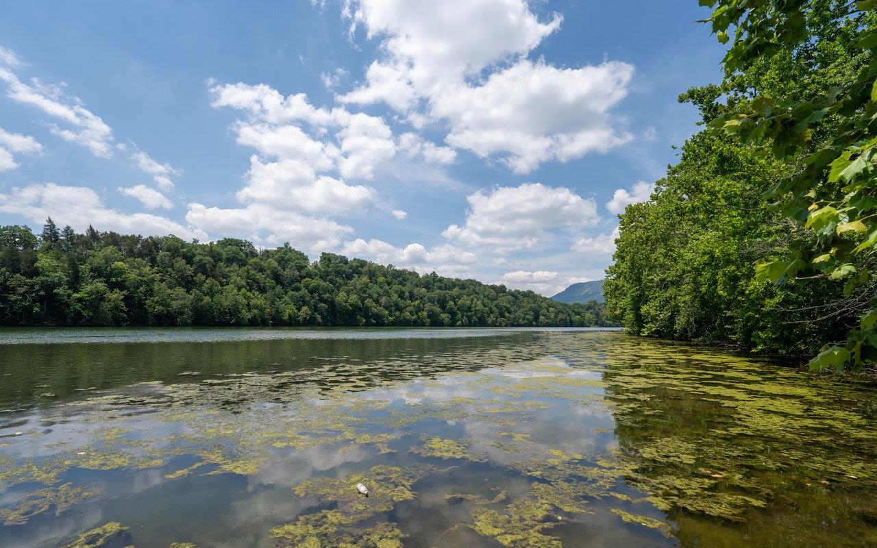 264 CEDAR LN, LURAY, Virginia 22835, 2 Bedrooms Bedrooms, ,1 BathroomBathrooms,Residential,264 CEDAR LN,664724 MLS # 664724