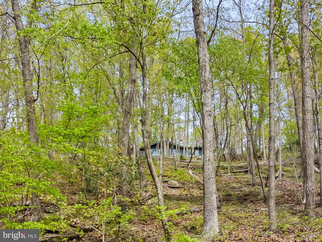 384 OLD FERRY LN, BLUEMONT, Virginia 20135, 2 Bedrooms Bedrooms, ,2 BathroomsBathrooms,Residential,For sale,384 OLD FERRY LN,VACL2003610 MLS # VACL2003610
