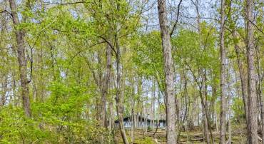 384 OLD FERRY LN, BLUEMONT, Virginia 20135, 2 Bedrooms Bedrooms, ,2 BathroomsBathrooms,Residential,For sale,384 OLD FERRY LN,VACL2003610 MLS # VACL2003610