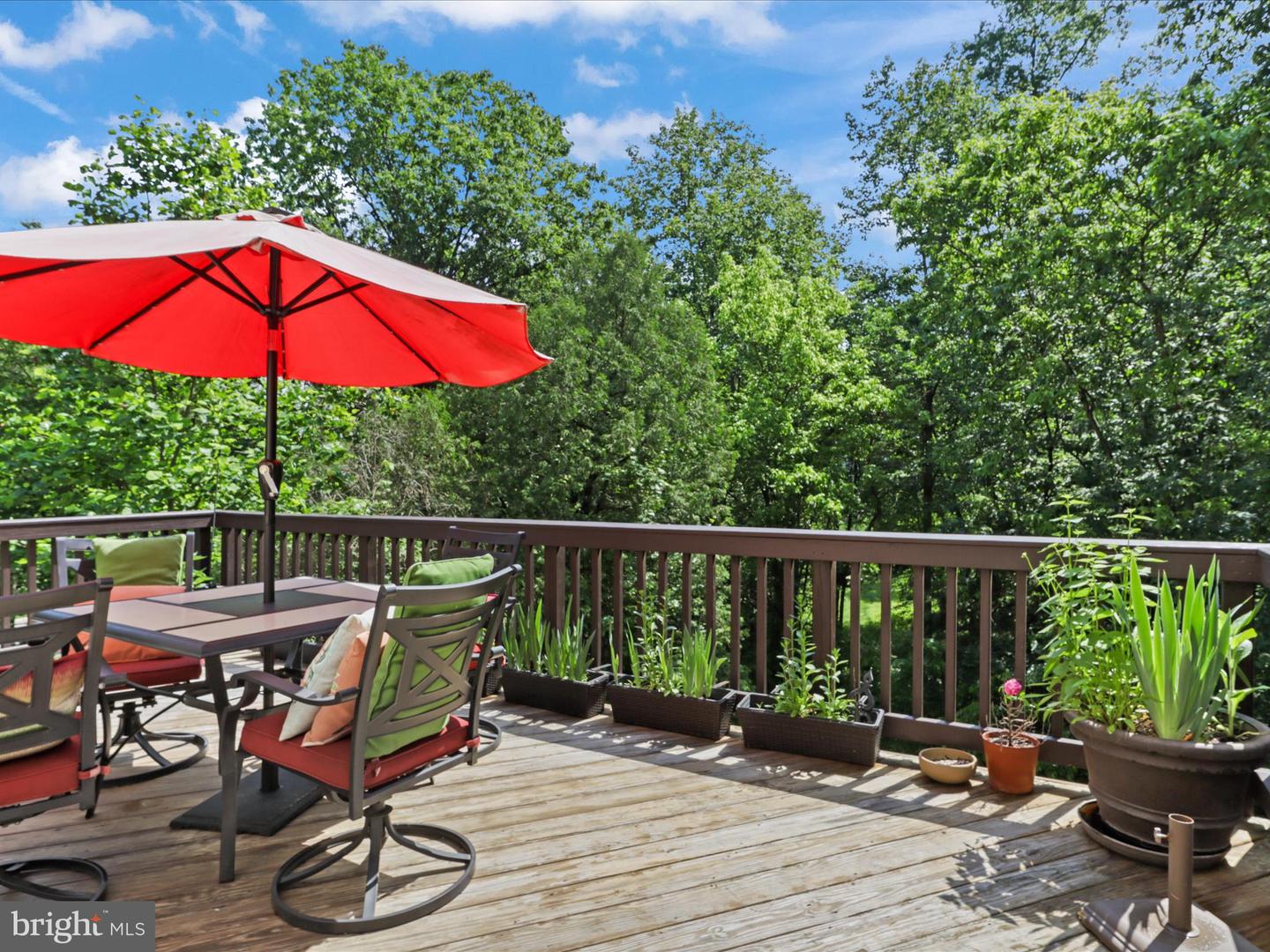 259 CHELMSFORD CT, STERLING, Virginia 20165, 4 Bedrooms Bedrooms, ,3 BathroomsBathrooms,Residential,For sale,259 CHELMSFORD CT,VALO2094790 MLS # VALO2094790