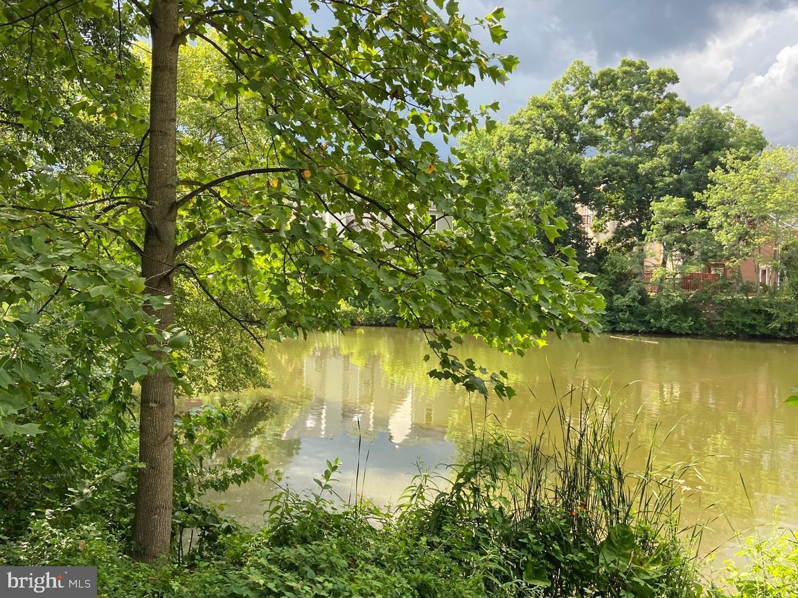 7596 A LAKESIDE VILLAGE DR, FALLS CHURCH, Virginia 22042, 1 Bedroom Bedrooms, ,1 BathroomBathrooms,Residential,For sale,7596 A LAKESIDE VILLAGE DR,VAFX2239020 MLS # VAFX2239020