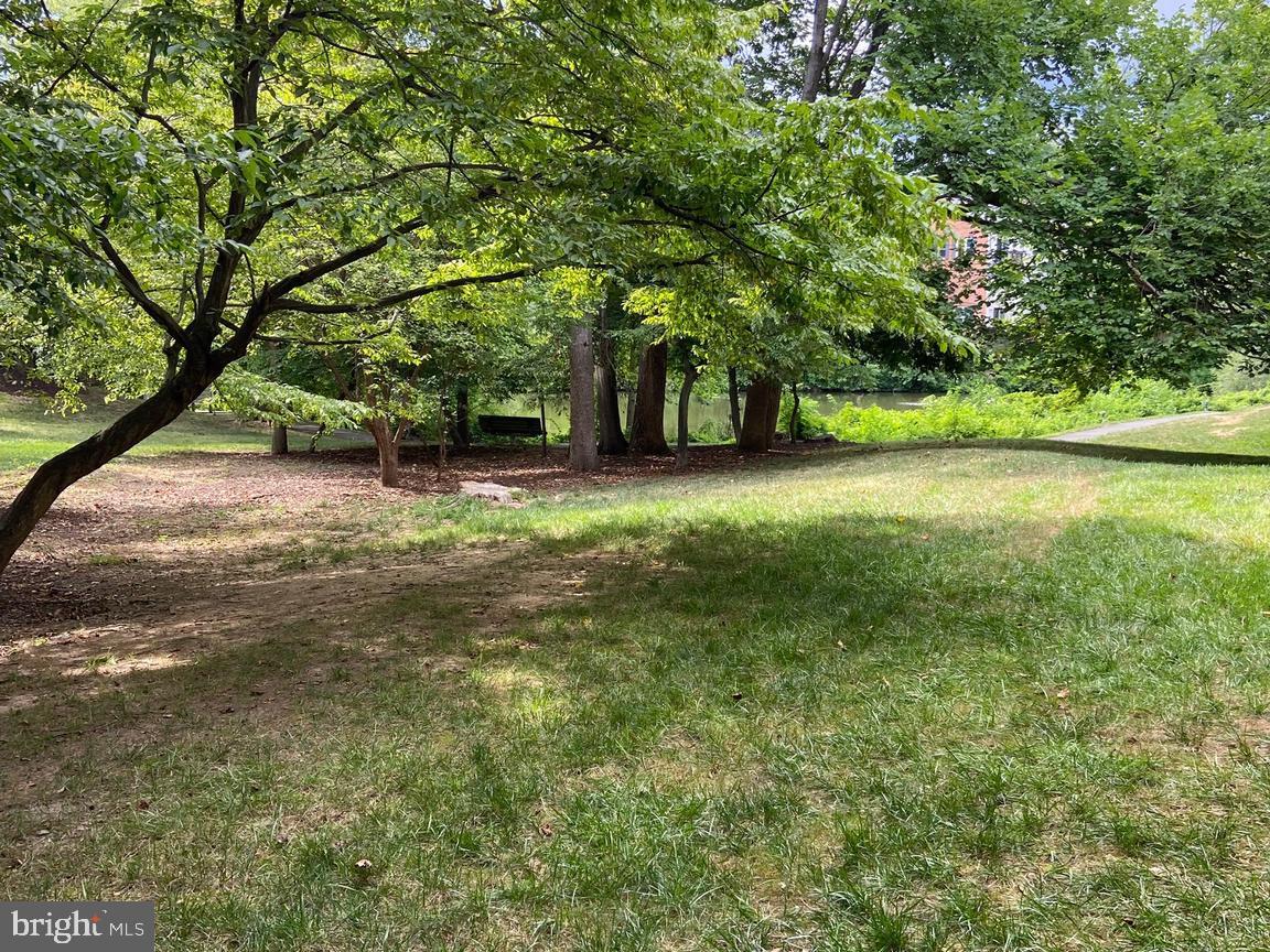 7596 A LAKESIDE VILLAGE DR, FALLS CHURCH, Virginia 22042, 1 Bedroom Bedrooms, ,1 BathroomBathrooms,Residential,For sale,7596 A LAKESIDE VILLAGE DR,VAFX2239020 MLS # VAFX2239020