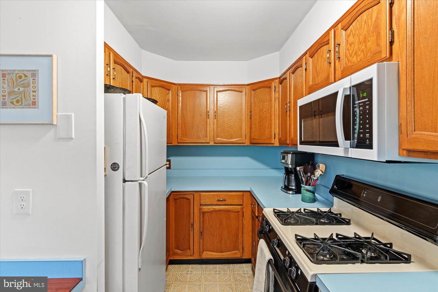 1010 CROTON DR, ALEXANDRIA, Virginia 22308, 3 Bedrooms Bedrooms, ,2 BathroomsBathrooms,Residential,For sale,1010 CROTON DR,VAFX2240462 MLS # VAFX2240462