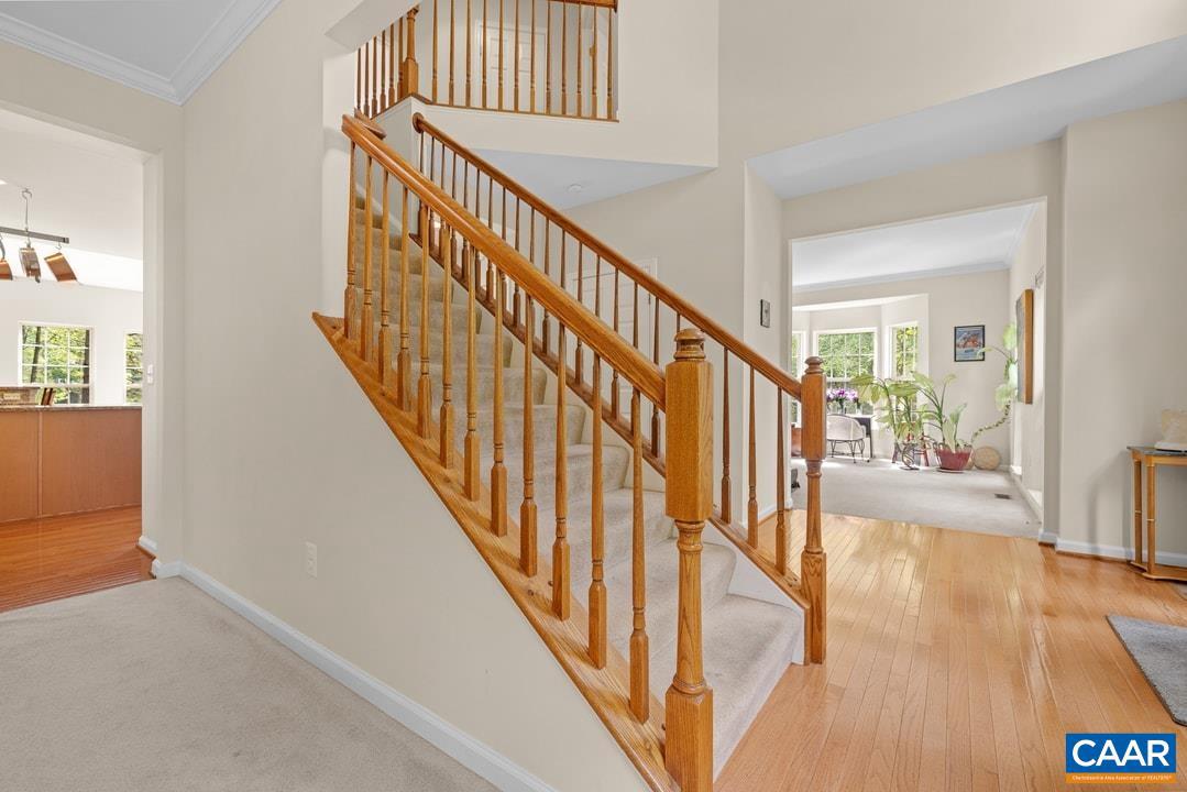 154 FOXMOOR RD, TROY, Virginia 22974, 4 Bedrooms Bedrooms, ,2 BathroomsBathrooms,Residential,For sale,154 FOXMOOR RD,664701 MLS # 664701