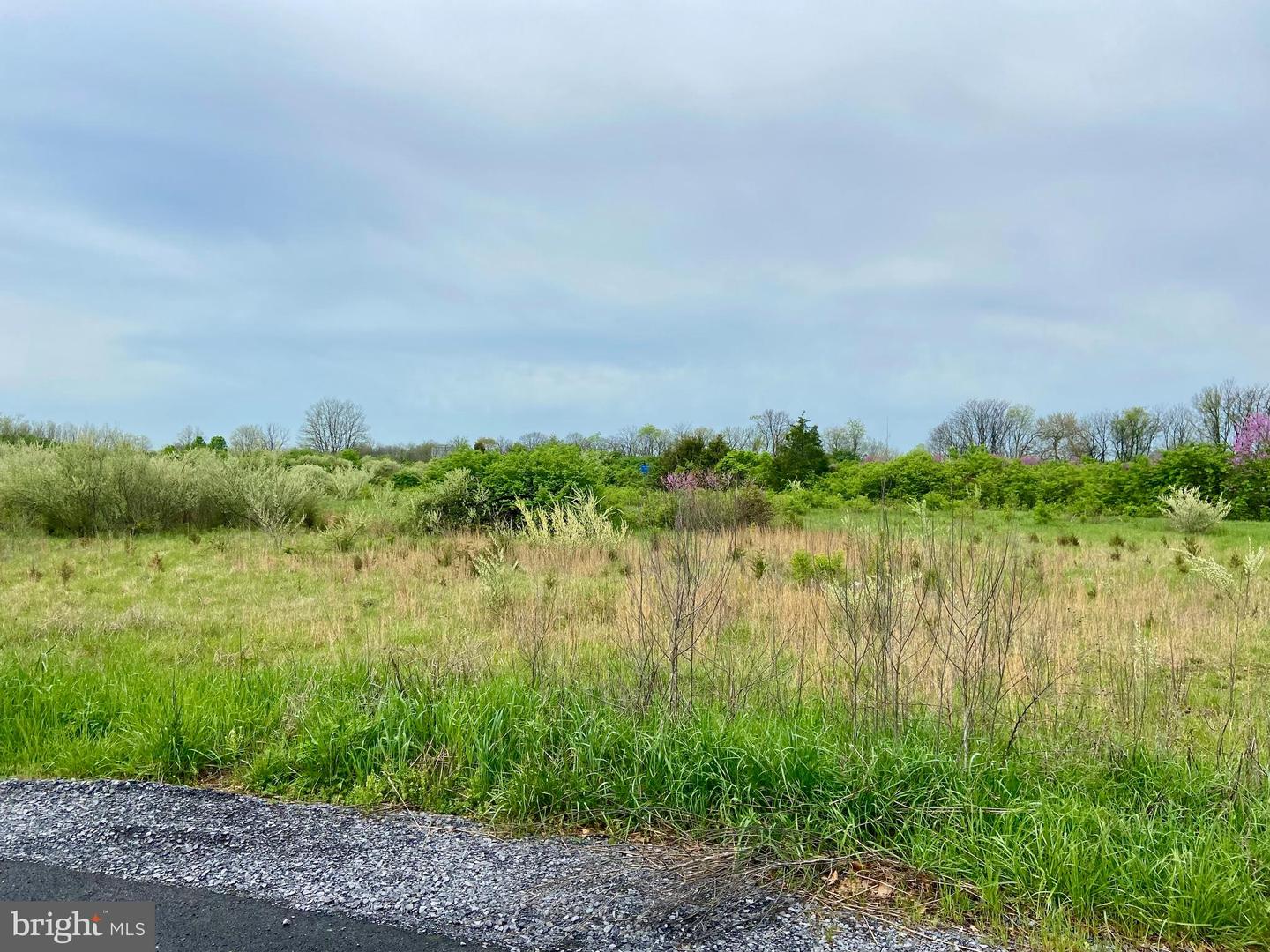 13.64 HOPEWELL LANE, CLEAR BROOK, Virginia 22624, ,Land,For sale,13.64 HOPEWELL LANE,VAFV2034322 MLS # VAFV2034322