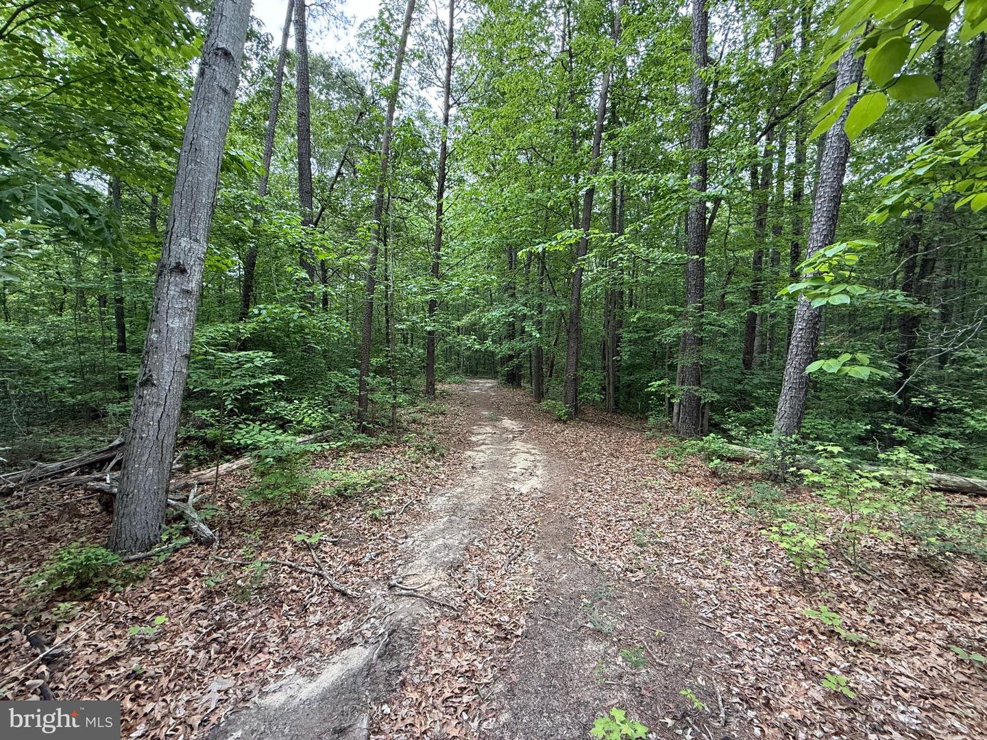0 MITCHELTREE LN, KING GEORGE, Virginia 22485, ,Land,For sale,0 MITCHELTREE LN,VAKG2006456 MLS # VAKG2006456