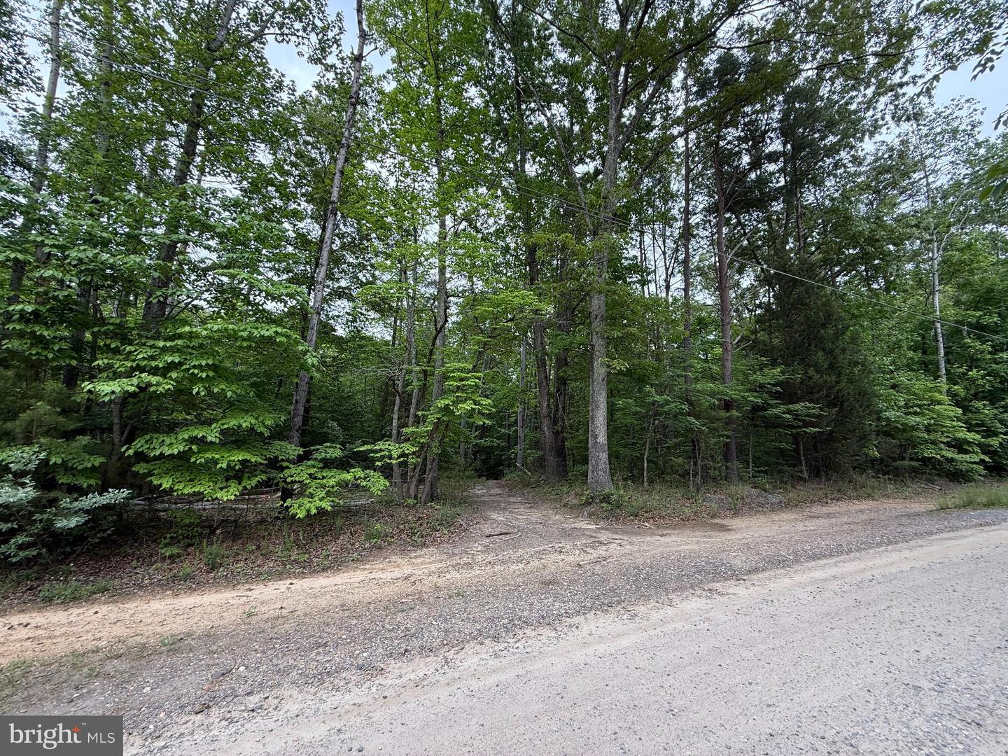 0 MITCHELTREE LN, KING GEORGE, Virginia 22485, ,Land,For sale,0 MITCHELTREE LN,VAKG2006456 MLS # VAKG2006456