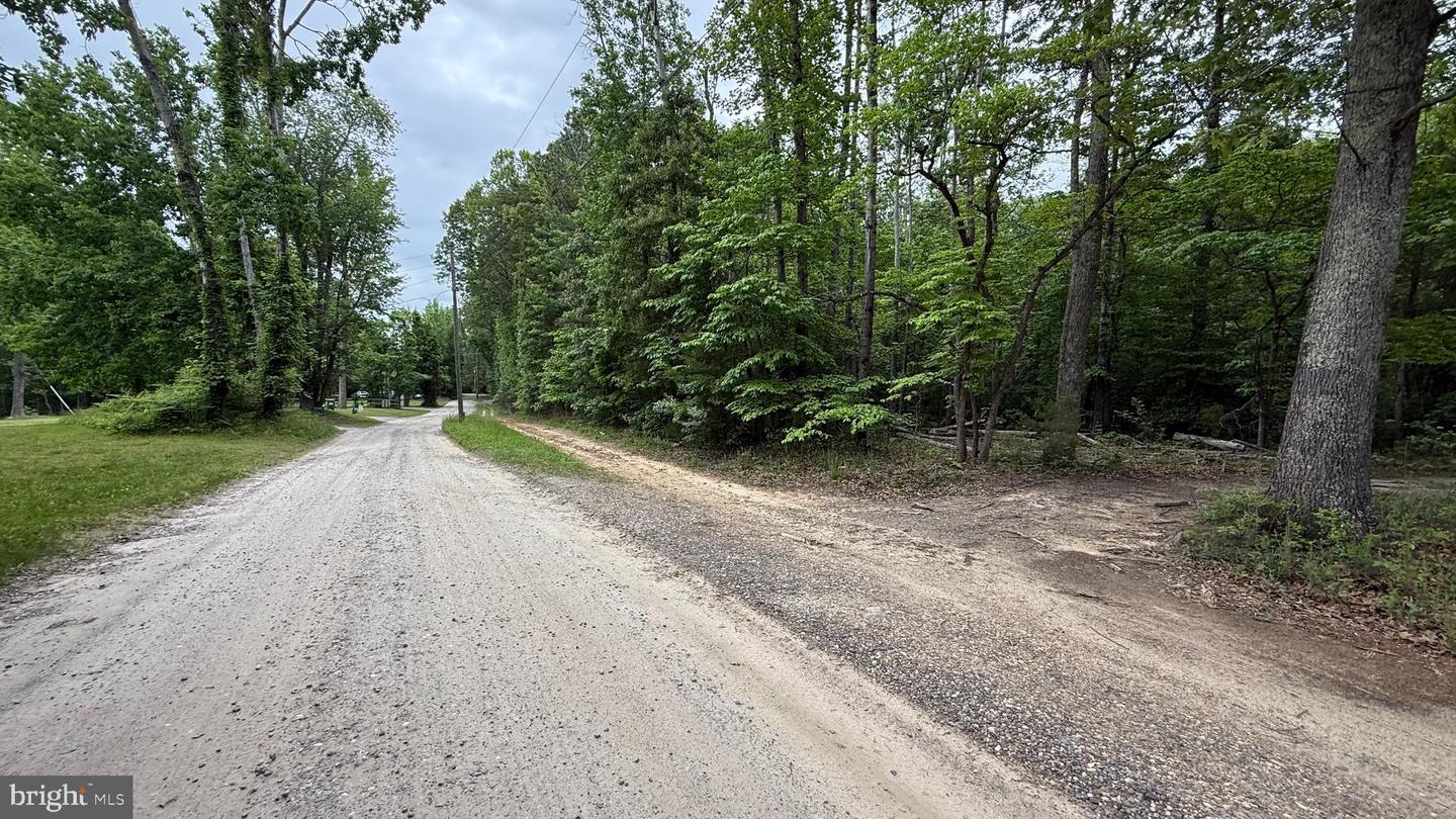 0 MITCHELTREE LN, KING GEORGE, Virginia 22485, ,Land,For sale,0 MITCHELTREE LN,VAKG2006456 MLS # VAKG2006456