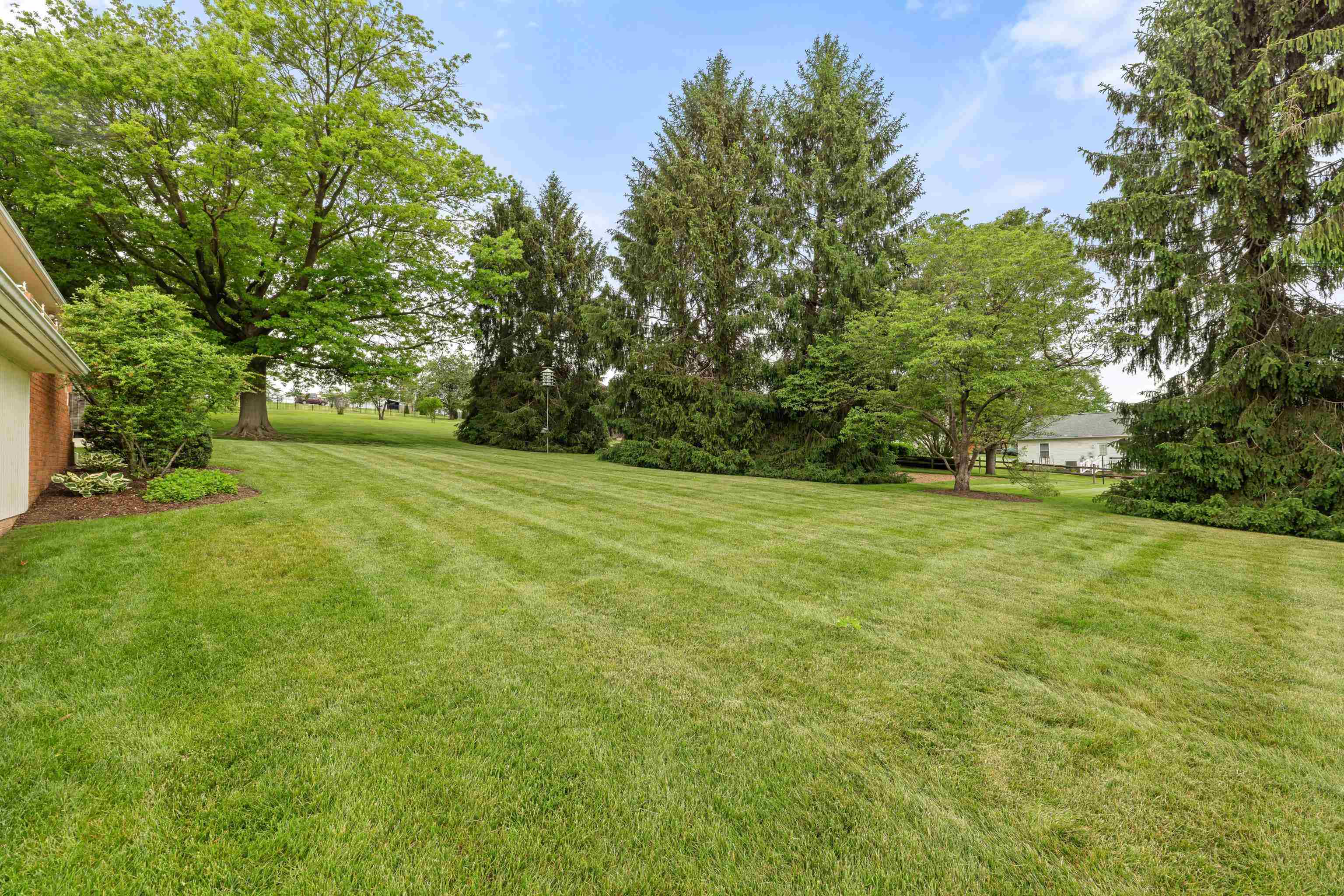 *The backyard goes beyond the pine trees.