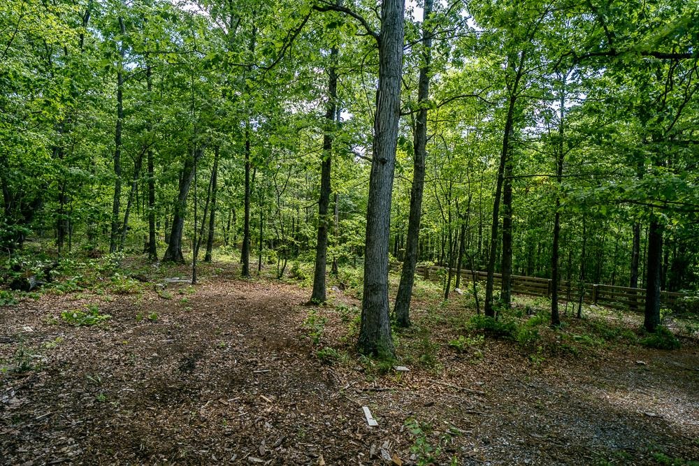 2461 RESORT DR, MCGAHEYSVILLE, Virginia 22840, 4 Bedrooms Bedrooms, ,2 BathroomsBathrooms,Residential,2461 RESORT DR,664775 MLS # 664775