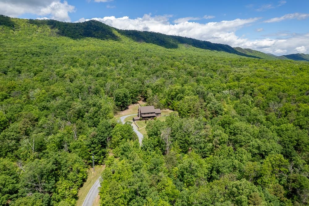 2461 RESORT DR, MCGAHEYSVILLE, Virginia 22840, 4 Bedrooms Bedrooms, ,2 BathroomsBathrooms,Residential,2461 RESORT DR,664775 MLS # 664775