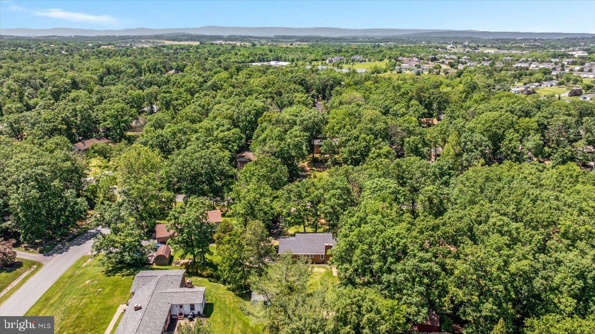 110 OAK RIDGE DR, STEPHENS CITY, Virginia 22655, 4 Bedrooms Bedrooms, ,2 BathroomsBathrooms,Residential,For sale,110 OAK RIDGE DR,VAFV2034038 MLS # VAFV2034038
