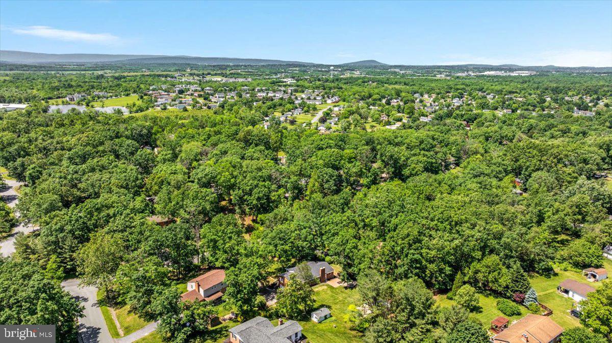110 OAK RIDGE DR, STEPHENS CITY, Virginia 22655, 4 Bedrooms Bedrooms, ,2 BathroomsBathrooms,Residential,For sale,110 OAK RIDGE DR,VAFV2034038 MLS # VAFV2034038