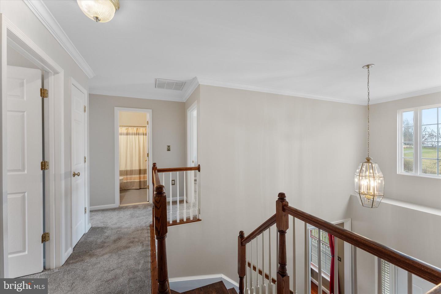 12479 SYCAMORE VISTA LN, LOVETTSVILLE, Virginia 20180, 5 Bedrooms Bedrooms, ,3 BathroomsBathrooms,Residential,For sale,12479 SYCAMORE VISTA LN,VALO2097312 MLS # VALO2097312
