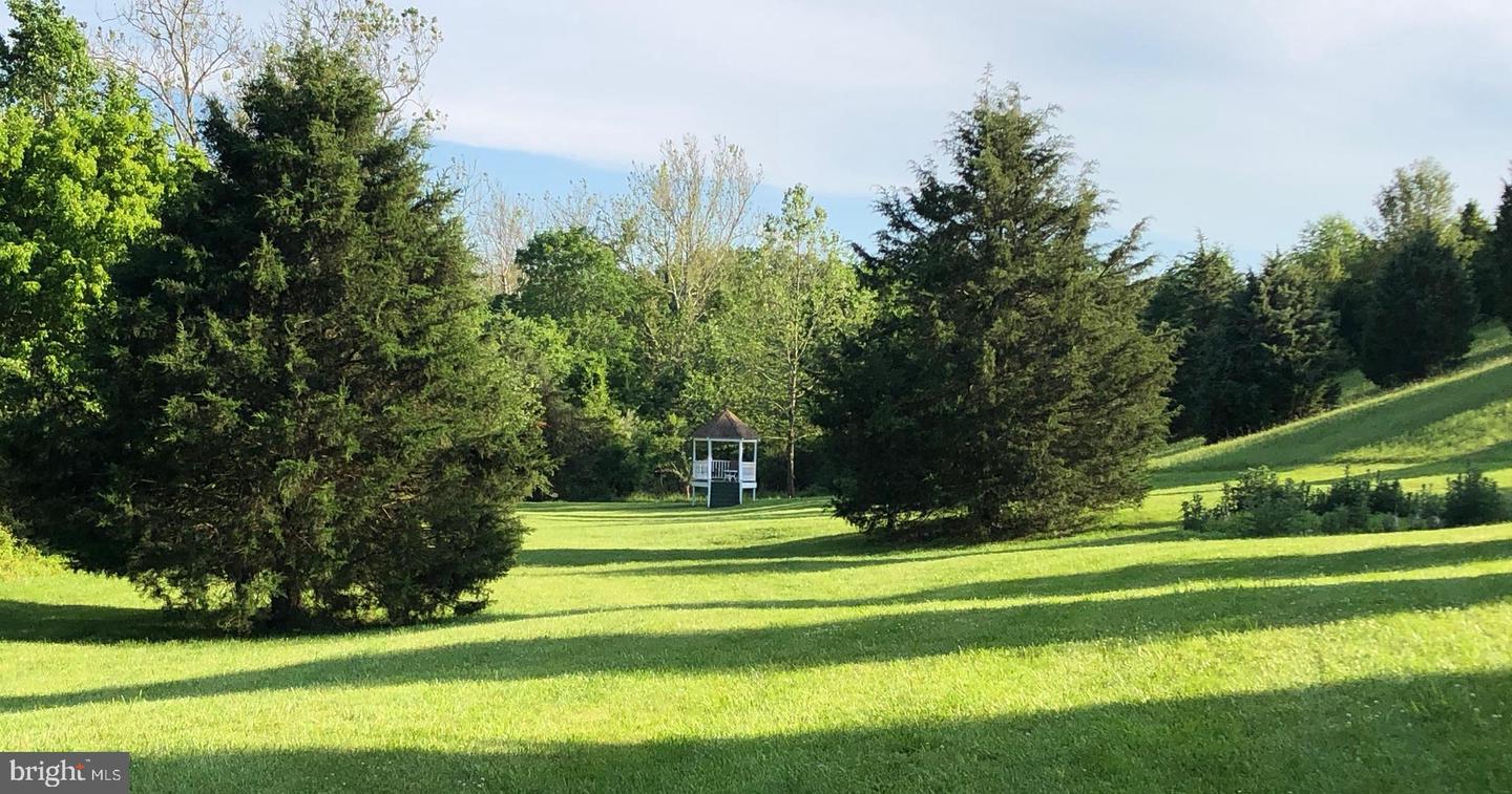 12479 SYCAMORE VISTA LN, LOVETTSVILLE, Virginia 20180, 5 Bedrooms Bedrooms, ,3 BathroomsBathrooms,Residential,For sale,12479 SYCAMORE VISTA LN,VALO2097312 MLS # VALO2097312
