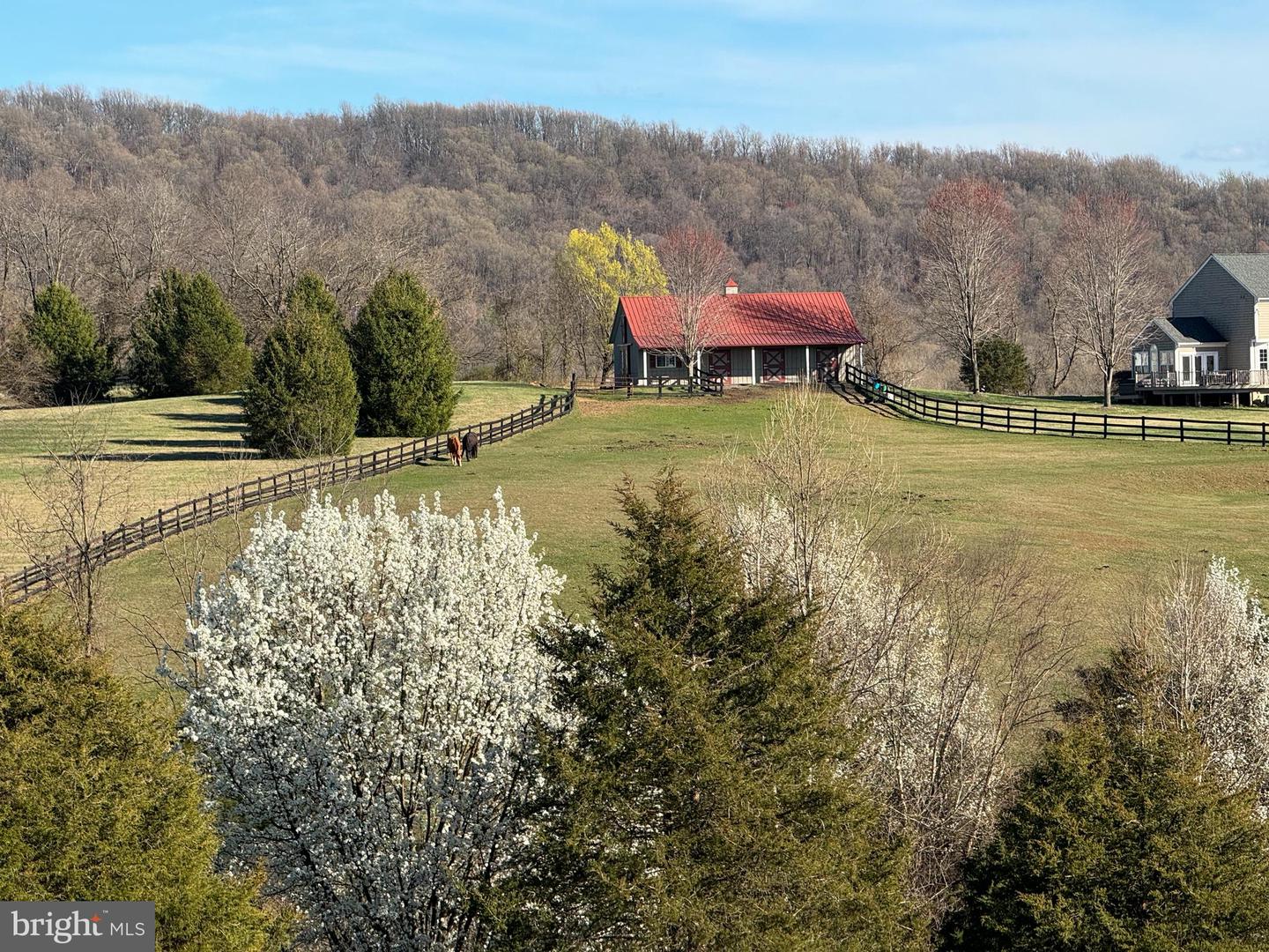 12479 SYCAMORE VISTA LN, LOVETTSVILLE, Virginia 20180, 5 Bedrooms Bedrooms, ,3 BathroomsBathrooms,Residential,For sale,12479 SYCAMORE VISTA LN,VALO2097312 MLS # VALO2097312