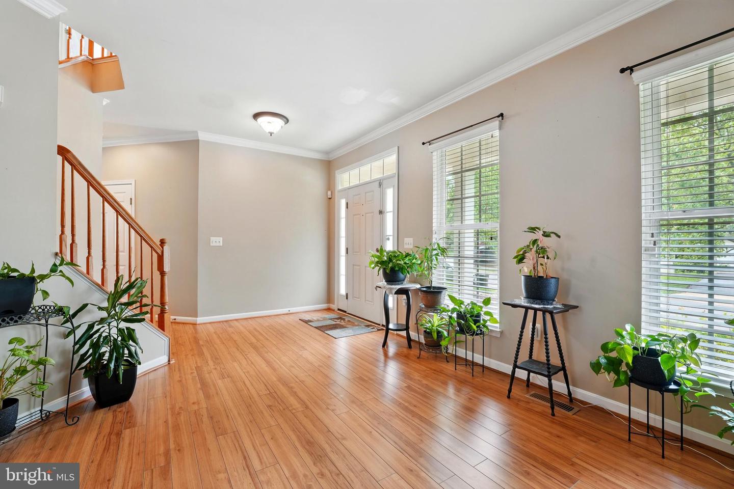 230 WHITWORTH DR, CULPEPER, Virginia 22701, 4 Bedrooms Bedrooms, ,3 BathroomsBathrooms,Residential,For sale,230 WHITWORTH DR,VACU2010642 MLS # VACU2010642