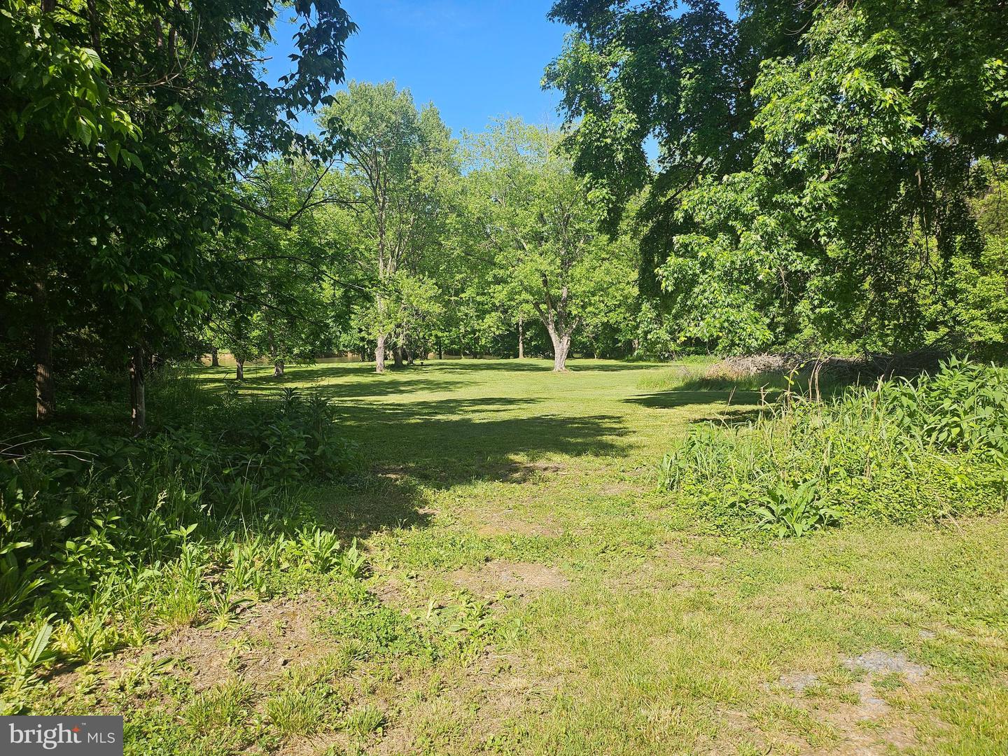 DEER RAPIDS ROAD, STRASBURG, Virginia 22657, ,Land,For sale,DEER RAPIDS ROAD,VASH2011462 MLS # VASH2011462