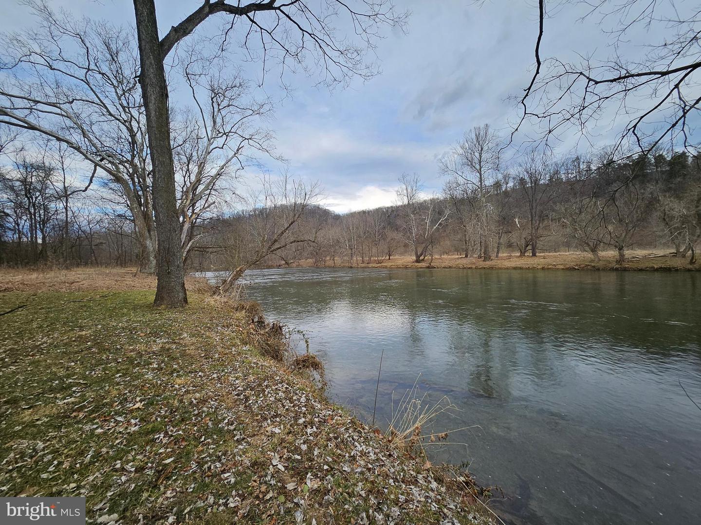 DEER RAPIDS ROAD, STRASBURG, Virginia 22657, ,Land,For sale,DEER RAPIDS ROAD,VASH2011462 MLS # VASH2011462