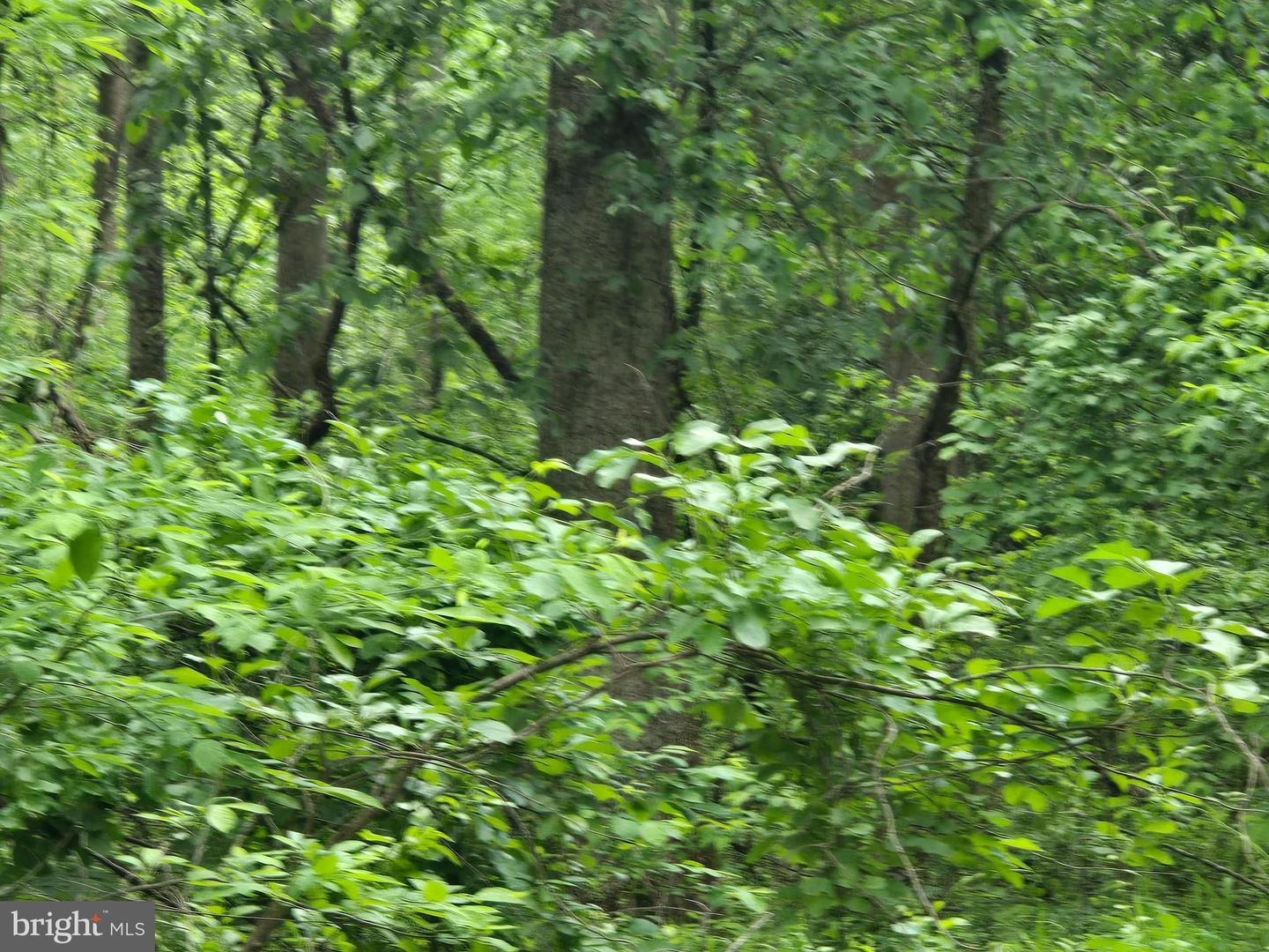 4127 HARDSCRABBLE, LINDEN, Virginia 22642, ,Land,For sale,4127 HARDSCRABBLE,VAFQ2016692 MLS # VAFQ2016692