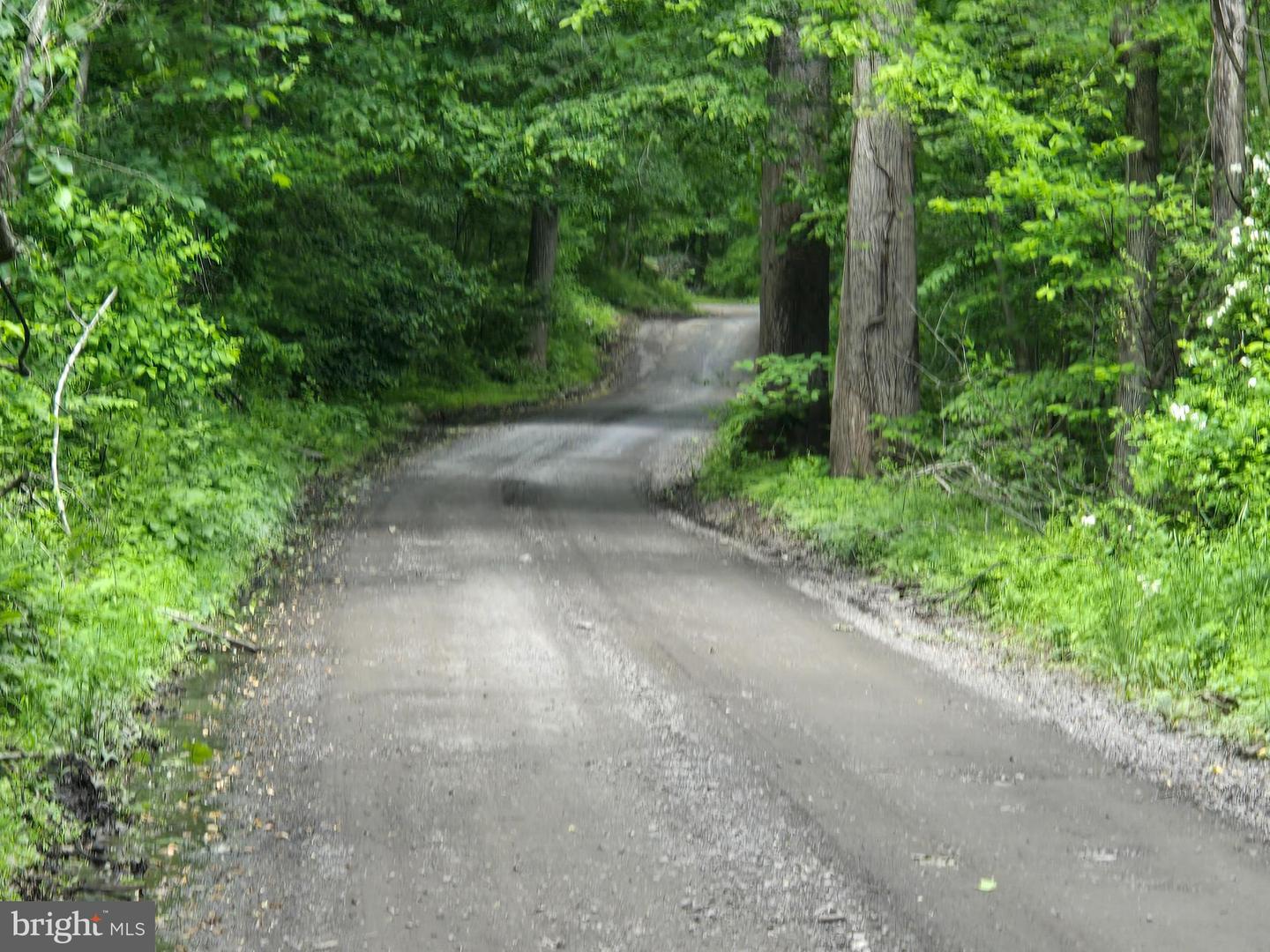 4127 HARDSCRABBLE, LINDEN, Virginia 22642, ,Land,For sale,4127 HARDSCRABBLE,VAFQ2016692 MLS # VAFQ2016692