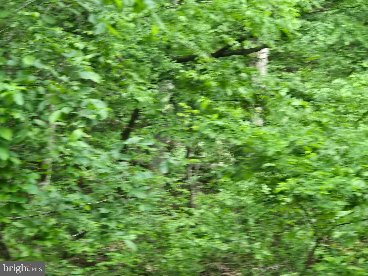 4127 HARDSCRABBLE, LINDEN, Virginia 22642, ,Land,For sale,4127 HARDSCRABBLE,VAFQ2016692 MLS # VAFQ2016692