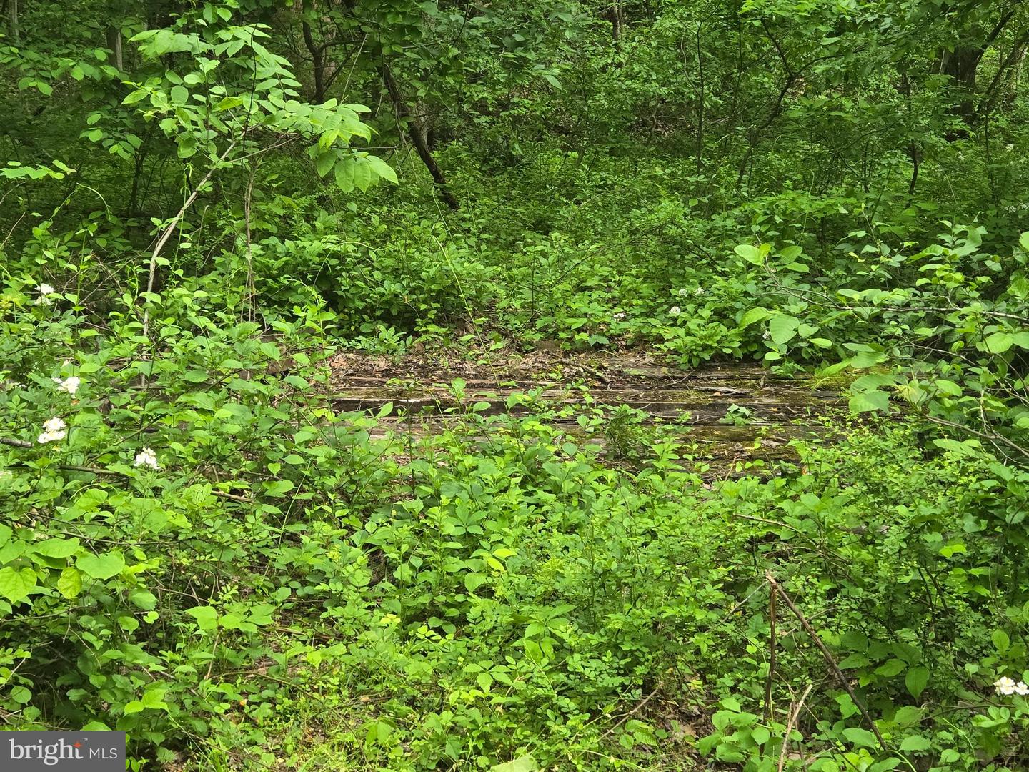 4127 HARDSCRABBLE, LINDEN, Virginia 22642, ,Land,For sale,4127 HARDSCRABBLE,VAFQ2016692 MLS # VAFQ2016692
