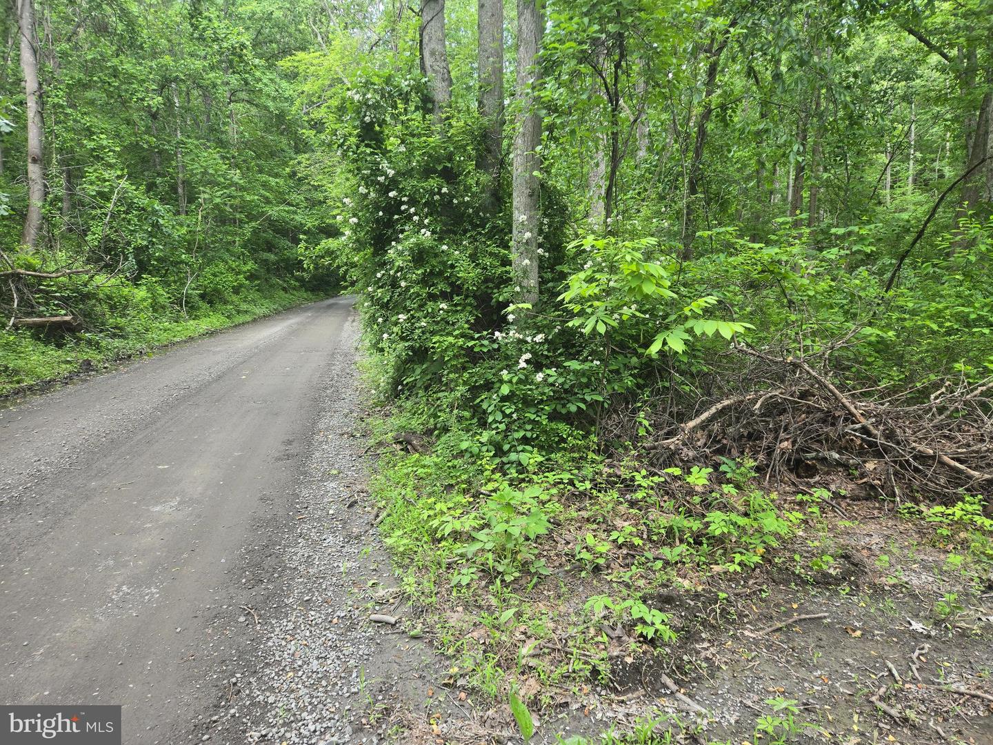 4127 HARDSCRABBLE, LINDEN, Virginia 22642, ,Land,For sale,4127 HARDSCRABBLE,VAFQ2016692 MLS # VAFQ2016692
