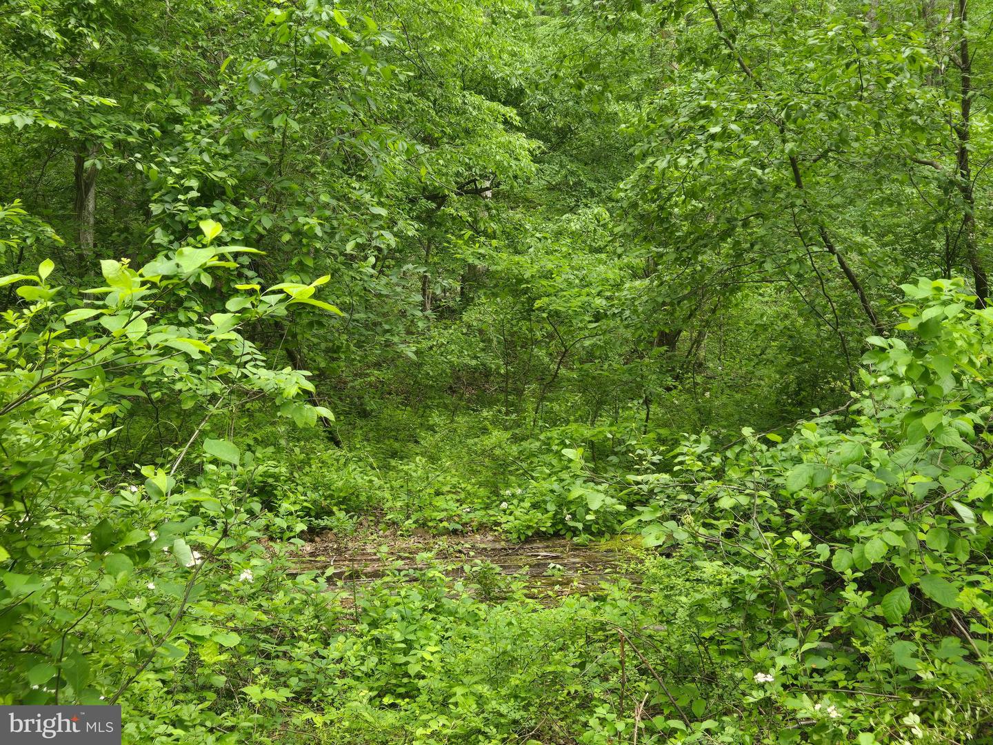 4127 HARDSCRABBLE, LINDEN, Virginia 22642, ,Land,For sale,4127 HARDSCRABBLE,VAFQ2016692 MLS # VAFQ2016692