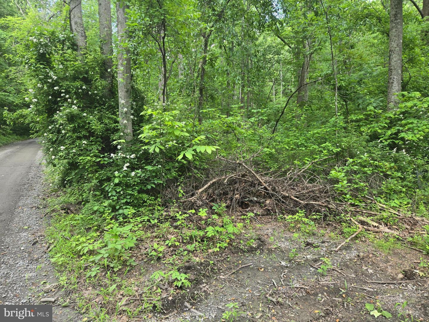 4127 HARDSCRABBLE, LINDEN, Virginia 22642, ,Land,For sale,4127 HARDSCRABBLE,VAFQ2016692 MLS # VAFQ2016692
