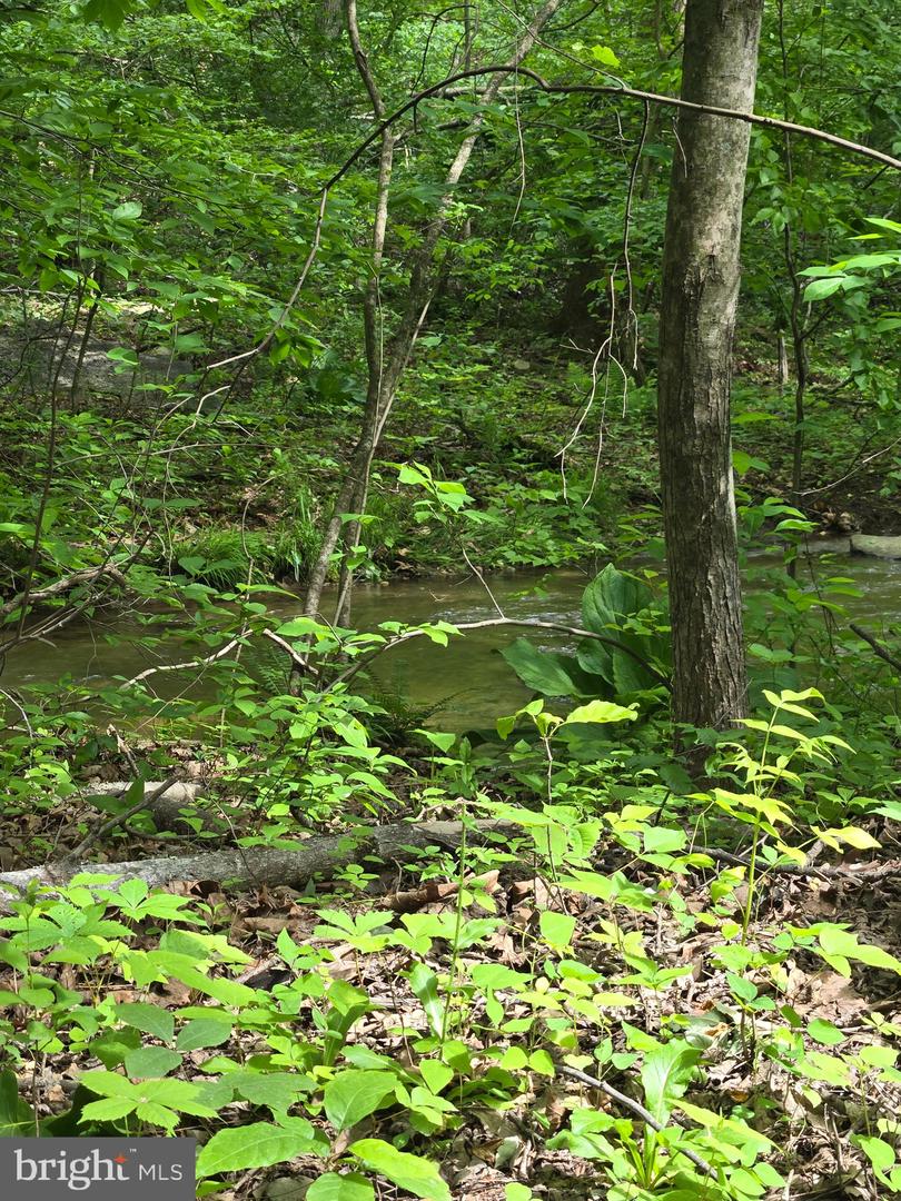 4127 HARDSCRABBLE, LINDEN, Virginia 22642, ,Land,For sale,4127 HARDSCRABBLE,VAFQ2016692 MLS # VAFQ2016692