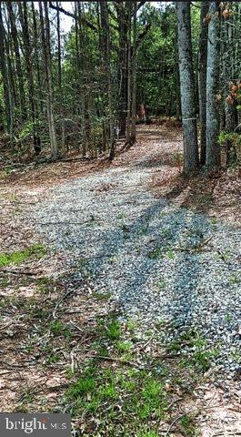 0 CURLEY LN, BUMPASS, Virginia 23024, ,Land,For sale,0 CURLEY LN,VALA2007900 MLS # VALA2007900