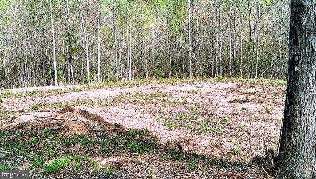 0 CURLEY LN, BUMPASS, Virginia 23024, ,Land,For sale,0 CURLEY LN,VALA2007900 MLS # VALA2007900