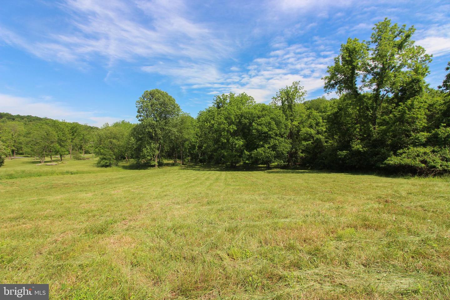 DODSON RD, MOUNT JACKSON, Virginia 22842, ,Land,For sale,DODSON RD,VASH2011518 MLS # VASH2011518