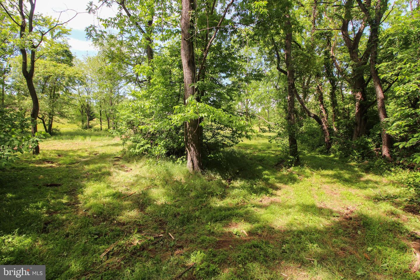 DODSON RD, MOUNT JACKSON, Virginia 22842, ,Land,For sale,DODSON RD,VASH2011518 MLS # VASH2011518