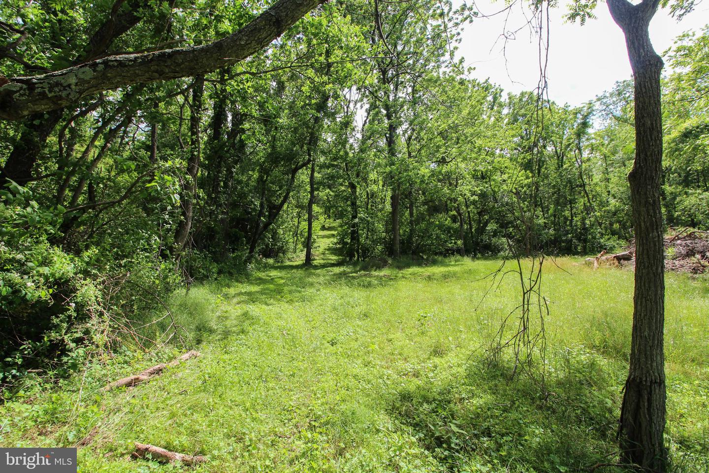 DODSON RD, MOUNT JACKSON, Virginia 22842, ,Land,For sale,DODSON RD,VASH2011518 MLS # VASH2011518