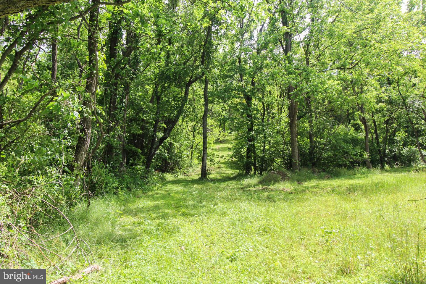 DODSON RD, MOUNT JACKSON, Virginia 22842, ,Land,For sale,DODSON RD,VASH2011518 MLS # VASH2011518