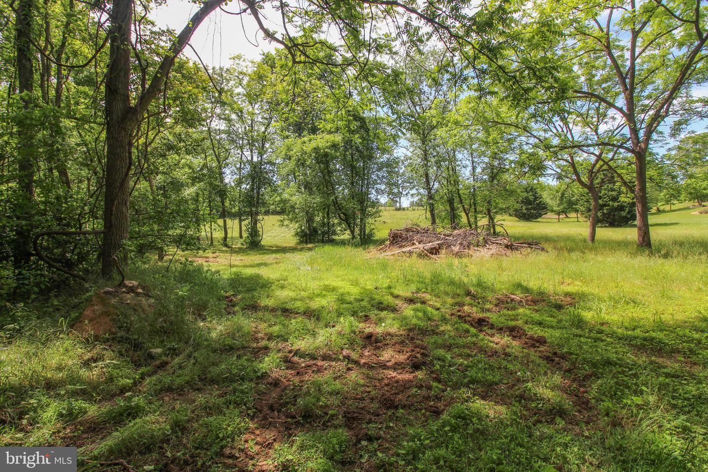 DODSON RD, MOUNT JACKSON, Virginia 22842, ,Land,For sale,DODSON RD,VASH2011518 MLS # VASH2011518
