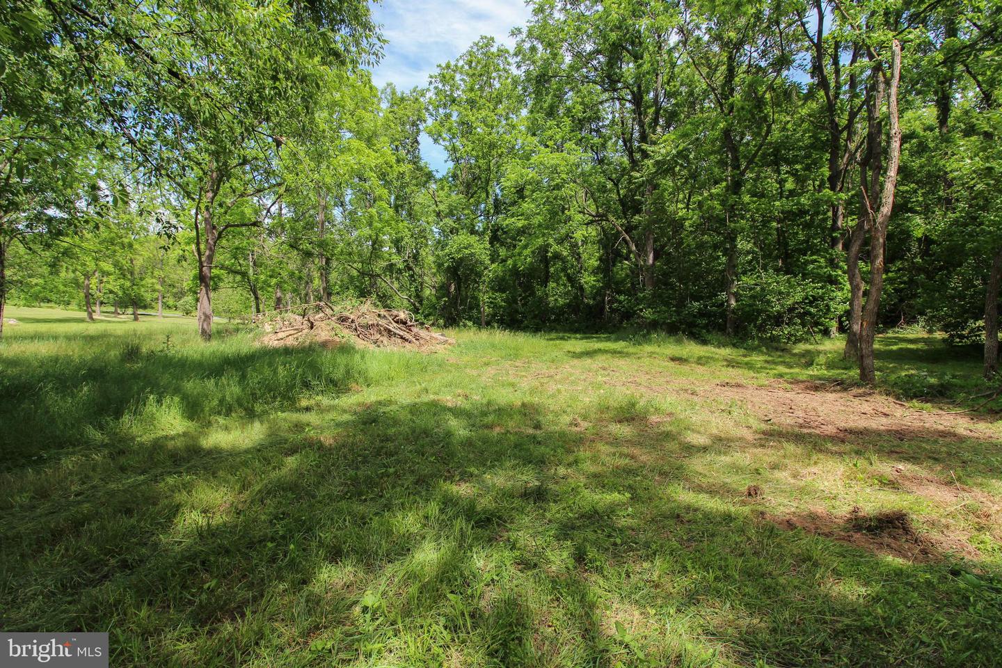 DODSON RD, MOUNT JACKSON, Virginia 22842, ,Land,For sale,DODSON RD,VASH2011518 MLS # VASH2011518