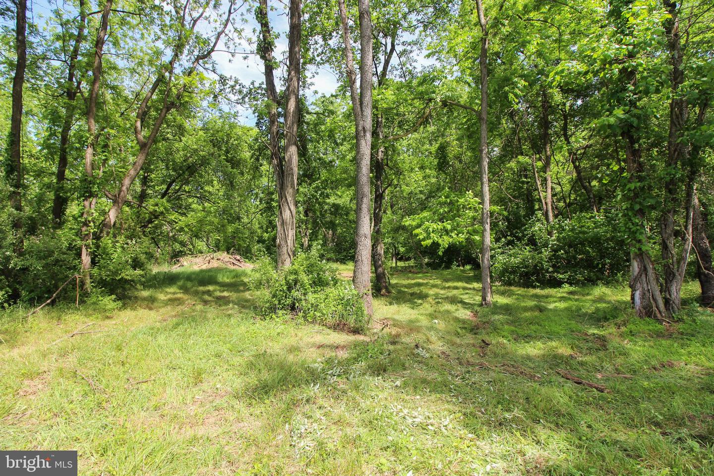 DODSON RD, MOUNT JACKSON, Virginia 22842, ,Land,For sale,DODSON RD,VASH2011518 MLS # VASH2011518