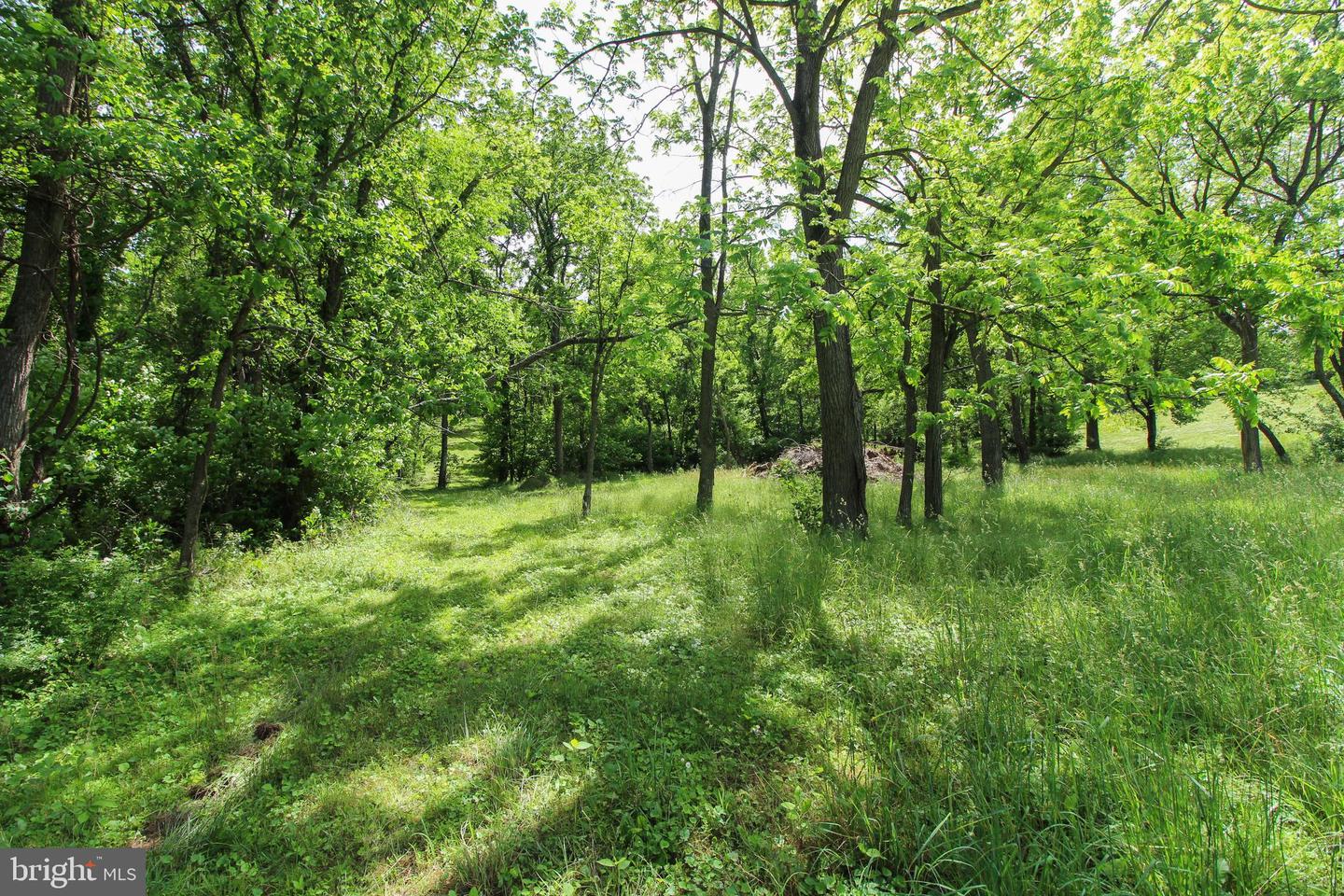 DODSON RD, MOUNT JACKSON, Virginia 22842, ,Land,For sale,DODSON RD,VASH2011518 MLS # VASH2011518