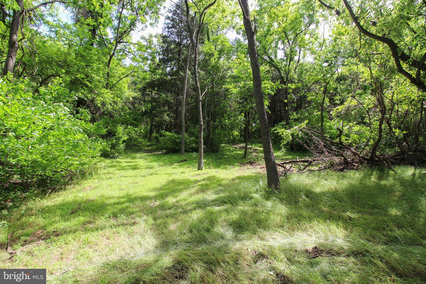 DODSON RD, MOUNT JACKSON, Virginia 22842, ,Land,For sale,DODSON RD,VASH2011518 MLS # VASH2011518