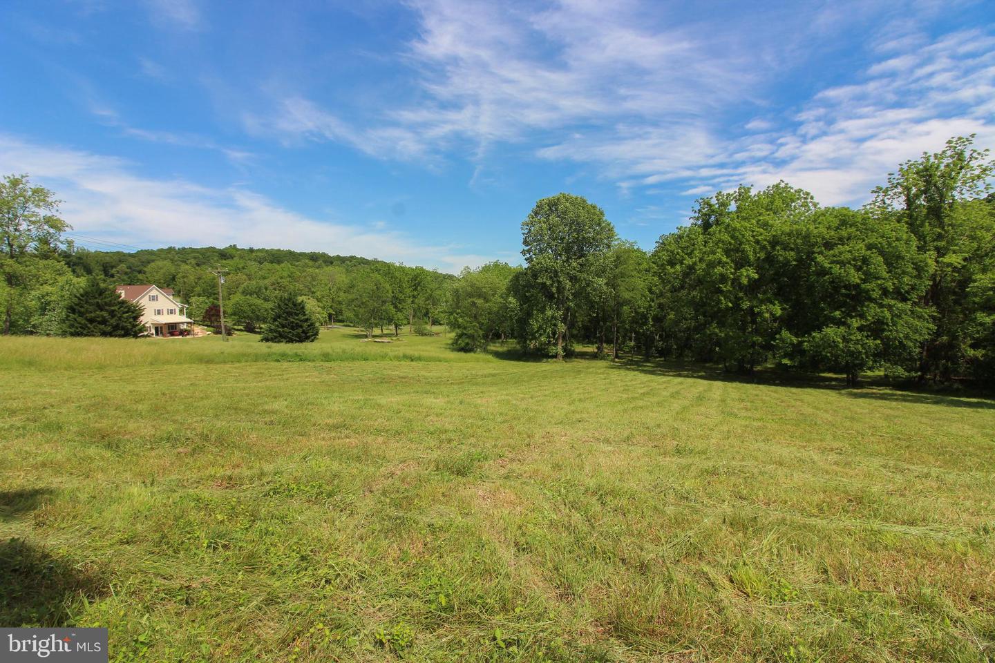 DODSON RD, MOUNT JACKSON, Virginia 22842, ,Land,For sale,DODSON RD,VASH2011518 MLS # VASH2011518